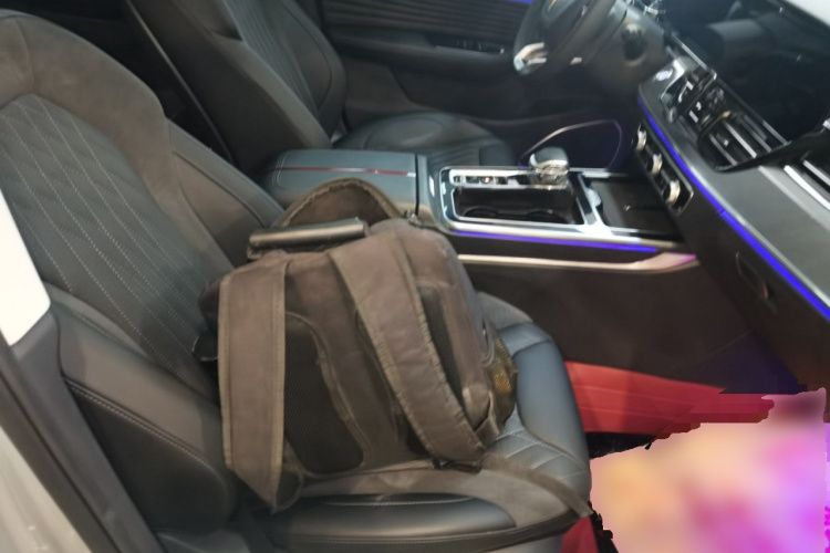 红旗HS5 2023款 2.0T 旗享Pro版局部细节41