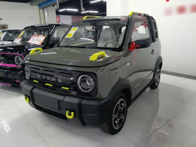 吉利银河 2025款 210km 熊猫骑士