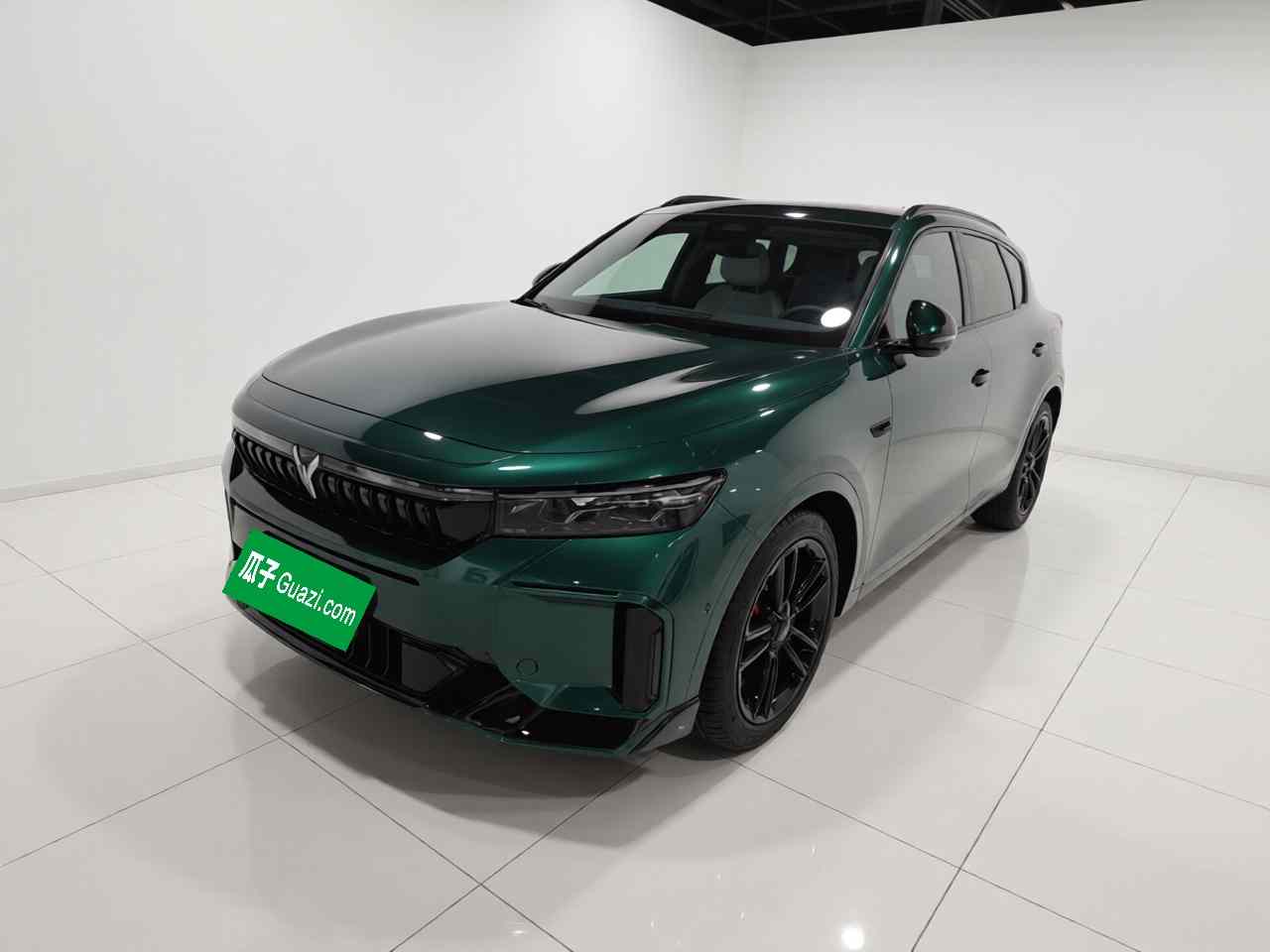 岚图汽车 岚图FREE 2025款 318 318km 后驱环游版(2)