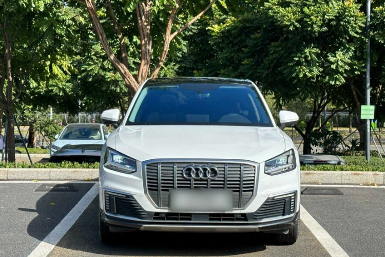 奥迪Q2L e-tron 2019款 Q2L e-tron 纯电智享型车身外观6004