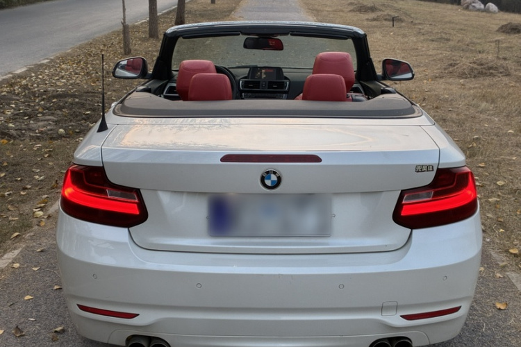 宝马2系(进口) 2015款 218i 敞篷轿跑车车身外观6006