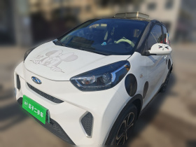 奇瑞 小蚂蚁 2021款 20万蚁粉款 朝气版 磷酸铁锂 301km