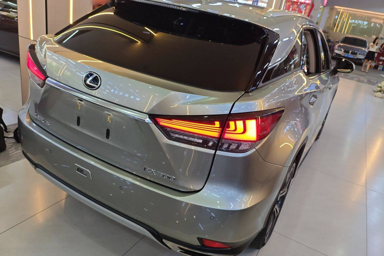 雷克萨斯RX 2020款 改款 300 四驱典雅版车身外观6005