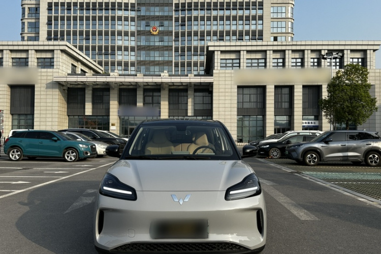 五菱汽车 五菱缤果PLUS 2024款 510km 旗舰版 四座版车身外观6001