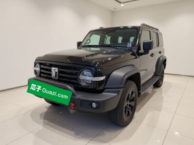 坦克300 2021款 越野版 2.0T 征服者