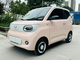 五菱汽车 宏光MINIEV 2024款 第三代 215km 青春版