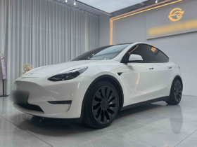 特斯拉 Model Y 2021款 Performance高性能全轮驱动版