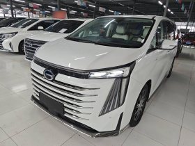 广汽传祺 传祺E9 2023款 E9 MAX