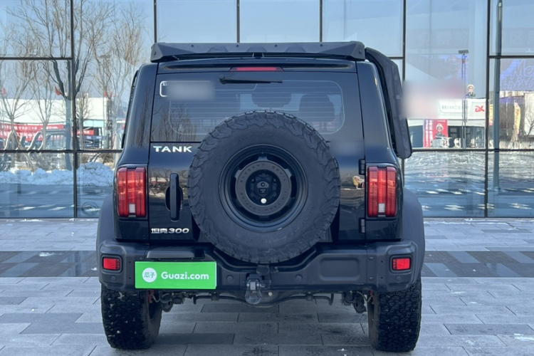 坦克300 2023款 2.0T 铁骑02车身外观6010