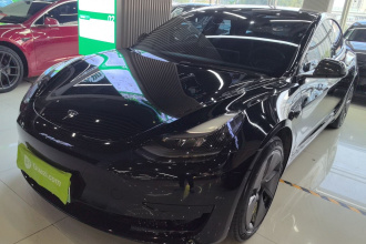 特斯拉 Model 3 2021款 标准续航后驱升级版 3D6