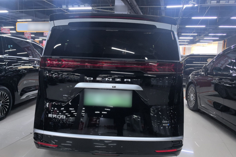 腾势D9 2025款 DM-i 智驾版 1100 豪华型车身外观6004