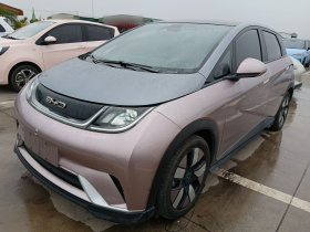 比亚迪 海豚 2021款 401km 骑士版