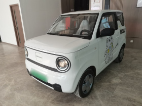 吉利银河 2024款 熊猫mini 200km 耐力熊