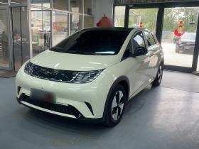 比亚迪 海豚 2023款 420km 时尚版