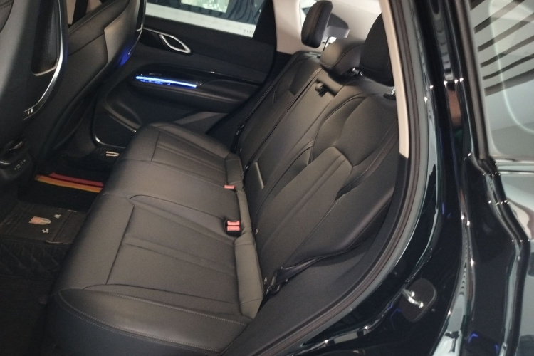 红旗HS3 PHEV 2024款 PHEV 115km 劲为版中控内饰21