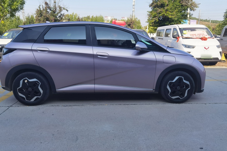 比亚迪 海豚 2021款 405km 自由版车身外观6005