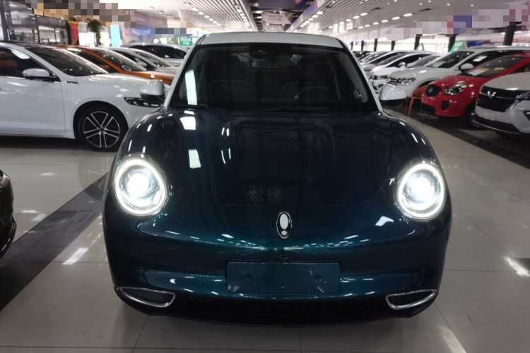 欧拉好猫 2021款 400km标准续航 雅典娜版 磷酸铁锂车身外观6001