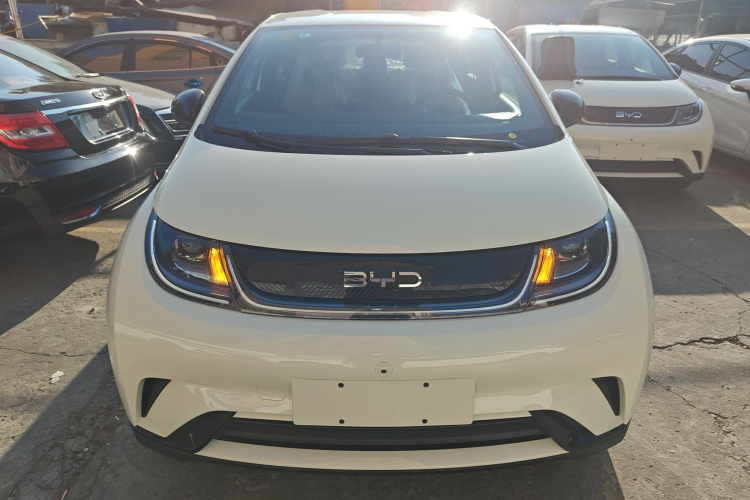 比亚迪 海豚 2025款 420km 自由版车身外观2