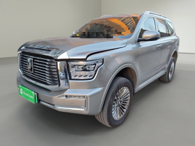 坦克500新能源 2024款 Hi4-T