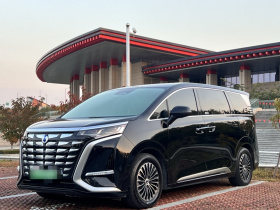 腾势D9 2022款 DM-i 1040 尊贵型