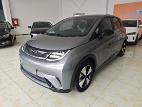 比亚迪 海豚 2023款 420km 自由版