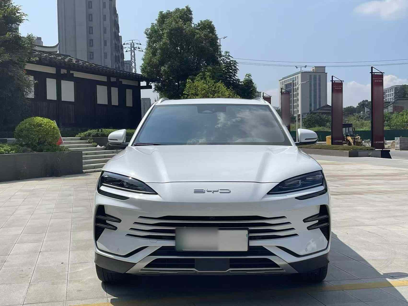 比亚迪 宋PLUS新能源 2023款 冠军版 DM-i 110KM 旗舰PLUS(4)