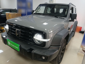 坦克300 2025款 2.0T 征服者