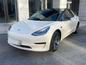 特斯拉 Model 3(进口) 2019款 标准续航后驱升级版(52度)