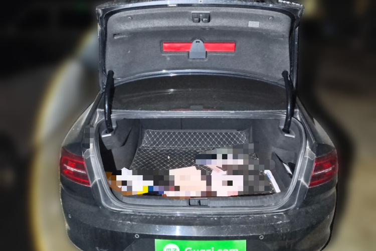 大众 迈腾 2019款 280TSI DSG 舒适型 国VI局部细节23