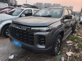 上汽大通MAXUS 2023款 星际H 2.0T 自动 柴油双增压四驱豪华版 长轴