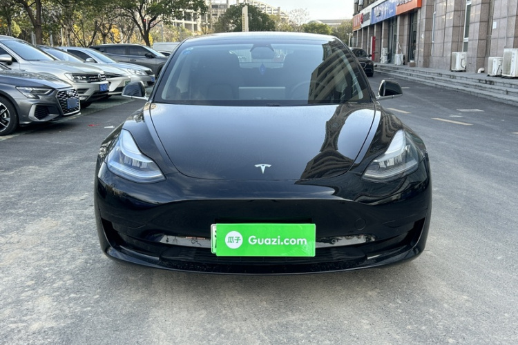 特斯拉 Model 3 2020款 标准续航后驱升级版车身外观6009