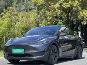特斯拉 Model Y 2024款 后轮驱动版