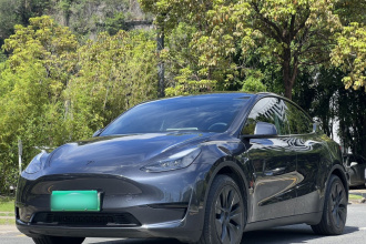 特斯拉 Model Y 2024款 后轮驱动版