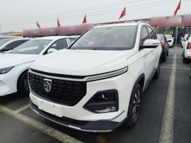 宝骏530 2021款 全球车周年纪念版 1.5T 手动尊贵型 6座