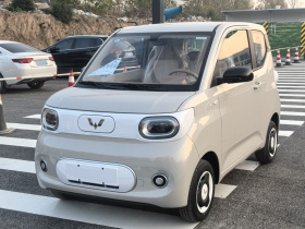 五菱汽车 宏光MINIEV 2024款 第三代 215km 青春版