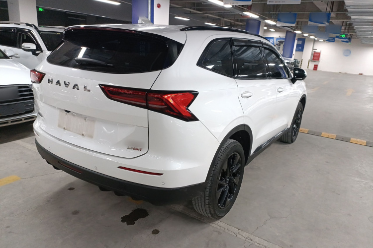 哈弗H6 2024款 2.0T 四驱Max车身外观7
