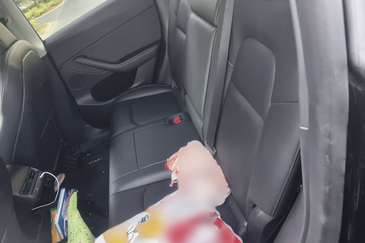 特斯拉 Model Y 2022款 后轮驱动版中控内饰7004