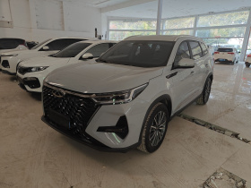 奇瑞 瑞虎8 PRO 2024款 冠军版 290T 两驱巅峰版 5座