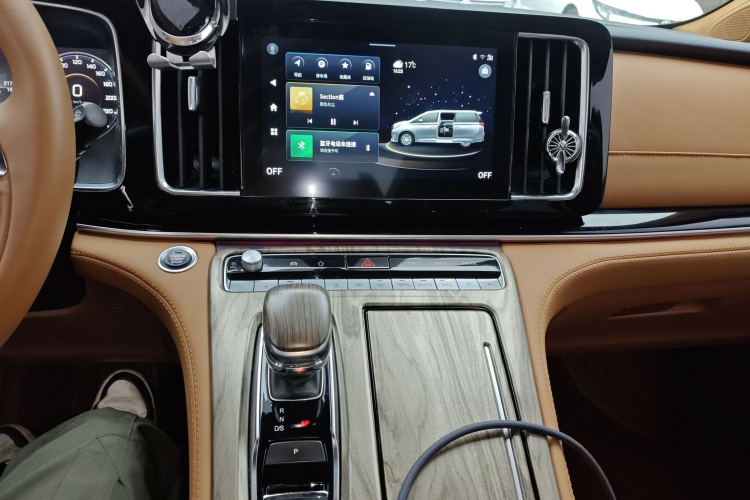 广汽传祺 传祺M8 2021款 领秀系列 390T 至尊版局部细节16