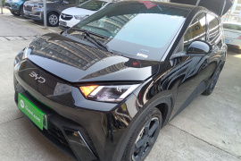 比亚迪 海鸥 2024款 荣耀版 305km 自由版