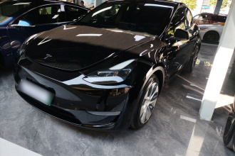 特斯拉 Model Y 2021款 标准续航后驱版