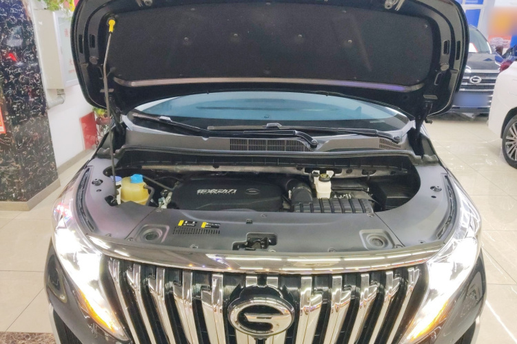 广汽传祺 传祺M8 2023款 大师系列 390T 至尊版机舱底盘24