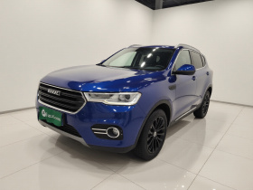 哈弗H6 2017款 蓝标 2.0T 自动两驱智尚型