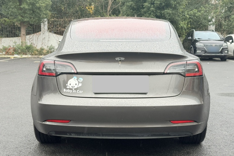 特斯拉 Model 3(进口) 2019款 长续航后驱版车身外观6001