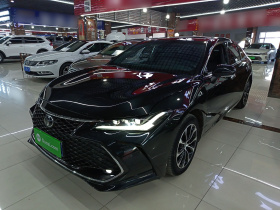 丰田 亚洲龙 2023款 2.5L 豪华版