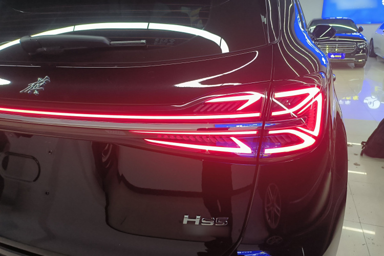 红旗HS5 2023款 2.0T 四驱旗享Pro版车身外观9