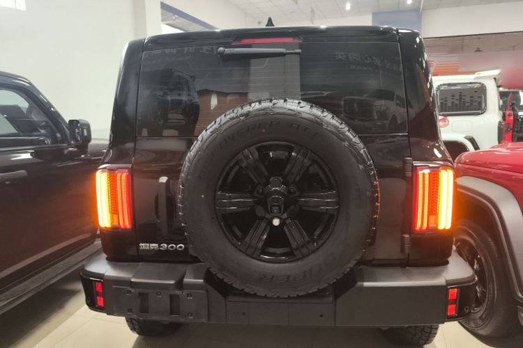 坦克300 2025款 2.4T 柴油版车身外观6