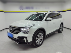 广汽传祺 传祺GS8 2020款 390T 两驱豪华智联纪念版（七座）