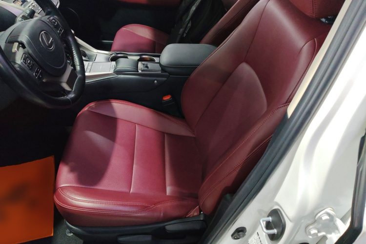 雷克萨斯NX 2020款 200 前驱 锋行版 国VI中控内饰19