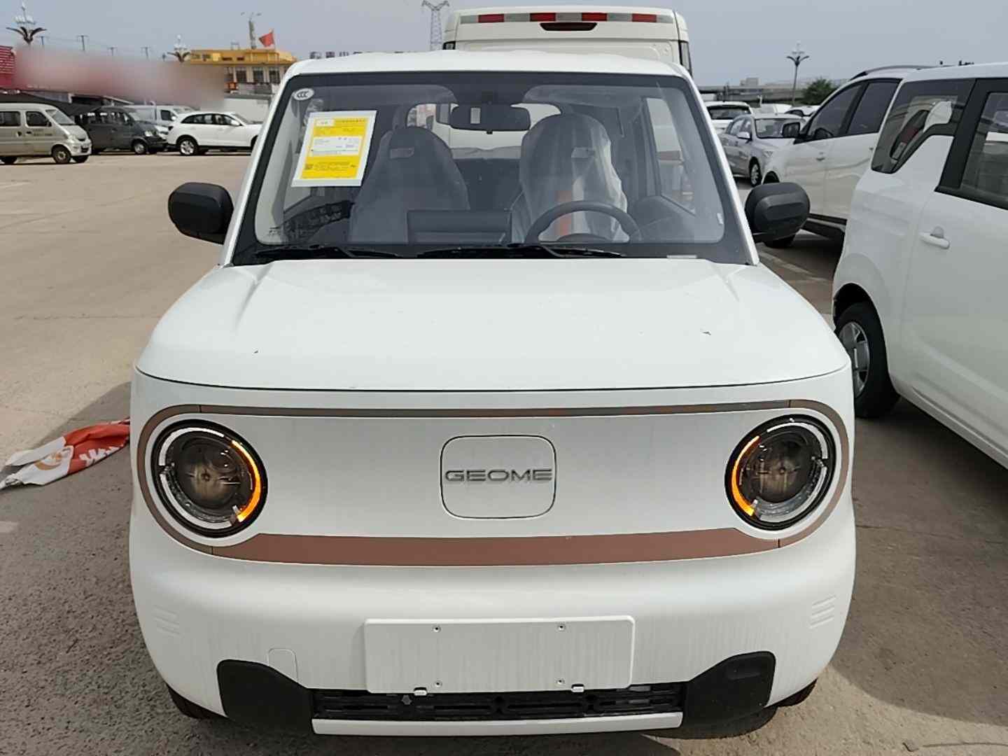 吉利银河 2024款 熊猫mini 200km 耐力熊(1)